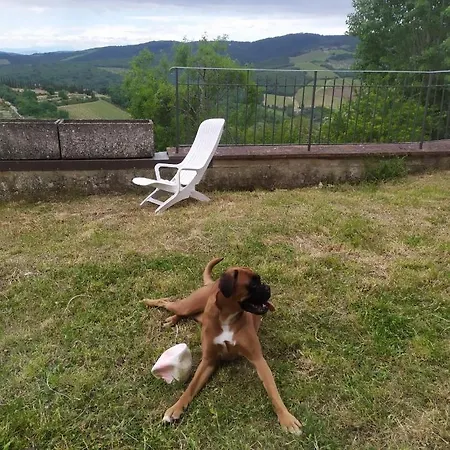 E Baldini Romanita Bed & Breakfast Radda in Chianti
