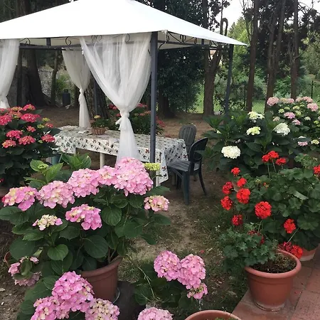 E Baldini Romanita