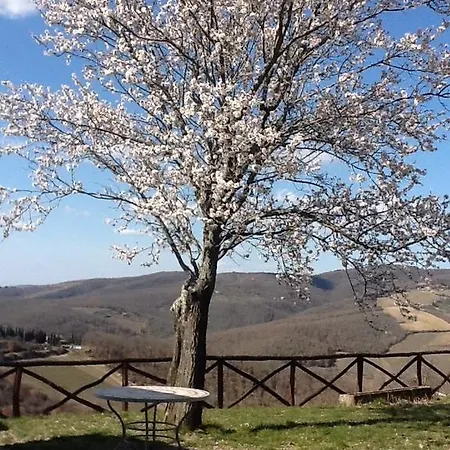 Bed & Breakfast E Baldini Romanita