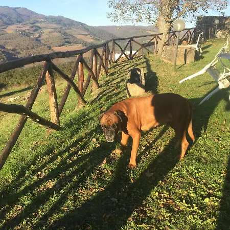 E Baldini Romanita Bed & Breakfast 3*