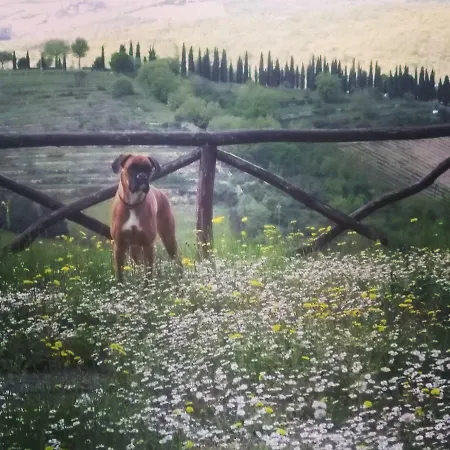 Bed & Breakfast E Baldini Romanita Radda in Chianti