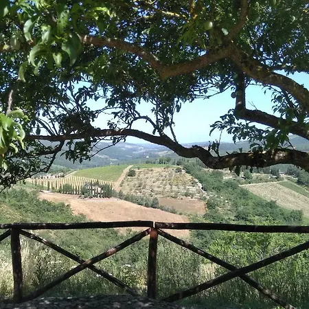 Bed & Breakfast E Baldini Romanita 3*